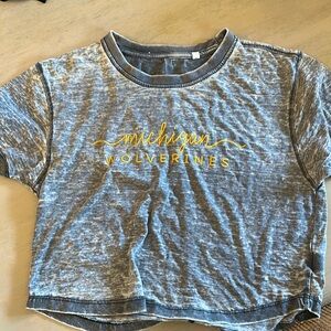 Michigan wolverines crop tee